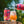 Paloma Gose [Grapefruit and Lime Sour] ABV 5% (440ml)